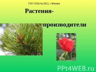 ГОУ СОШ № 2011, г.Москва Растения-производители