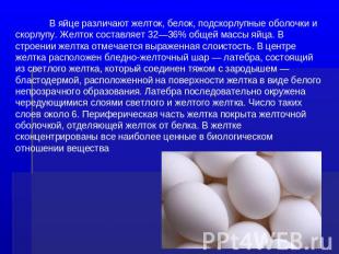 В яйце различают желток, белок, подскорлупные оболочки и скорлупу. Желток состав