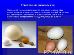 Определение свежести яиц В домашней кулинарии используются в основном куриные яй