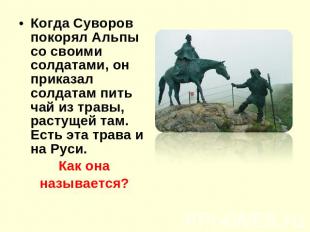 Когда Суворов покорял Альпы со своими солдатами, он приказал солдатам пить чай и