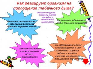 Как реагирует организм на поглощение табачного дыма? Желание выкурить сигарету б