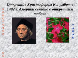 Открытие Христофором Колумбом в 1492 г. Америки связано с открытием табака ХРИСТ