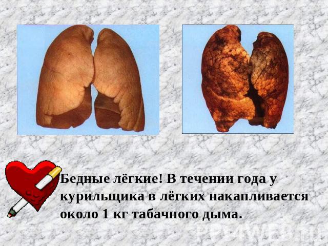 Бедные лёгкие! В течении года у курильщика в лёгких накапливается около 1 кг табачного дыма.