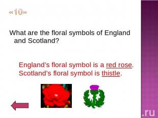 «10» What are the floral symbols of England and Scotland?England’s floral symbol
