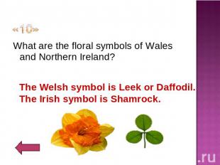 «10» What are the floral symbols of Wales and Northern Ireland?The Welsh symbol