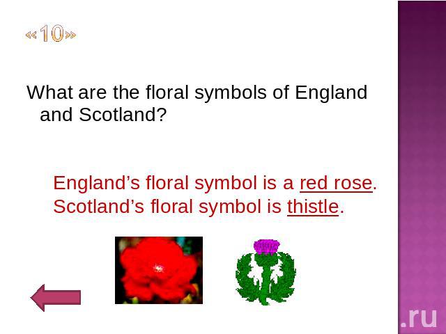 «10» What are the floral symbols of England and Scotland?England’s floral symbol is a red rose.Scotland’s floral symbol is thistle.