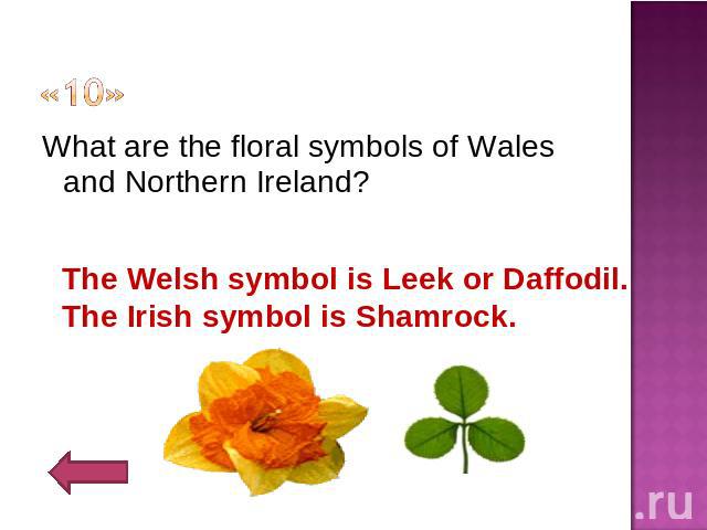 «10» What are the floral symbols of Wales and Northern Ireland?The Welsh symbol is Leek or Daffodil.The Irish symbol is Shamrock.