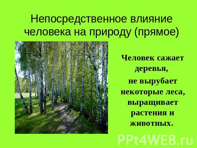Непосредственное влияние человека на природу (прямое) Человек сажает деревья, не вырубает некоторые леса, выращивает растения и животных.