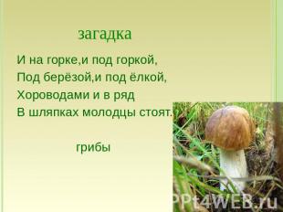 загадка И на горке,и под горкой,Под берёзой,и под ёлкой, Хороводами и в рядВ шля