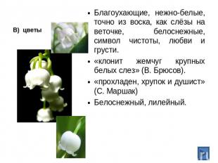 В) цветы Благоухающие, нежно-белые, точно из воска, как слёзы на веточке, белосн