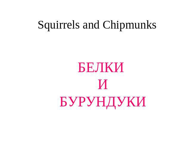 Squirrels and Chipmunks БЕЛКИ И БУРУНДУКИ