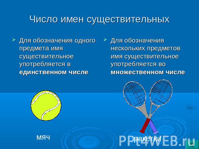 Число имен существительных Для обозначения одного предмета имя существительное употребляется в единственном числеДля обозначения нескольких предметов имя существительное употребляется во множественном числе