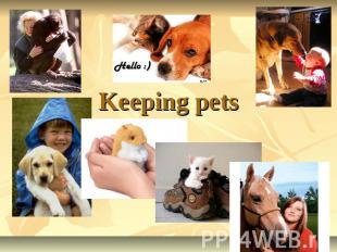Keeping pets