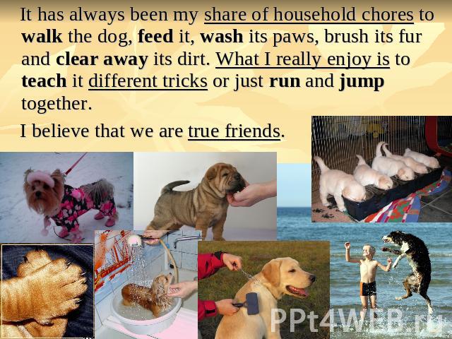 It has always been my share of household chores to walk the dog, feed it, wash its paws, brush its fur and clear away its dirt. What I really enjoy is to teach it different tricks or just run and jump together. I believe that we are true friends.