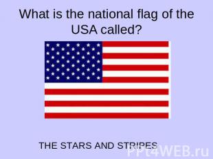 What is the national flag of the USA called?