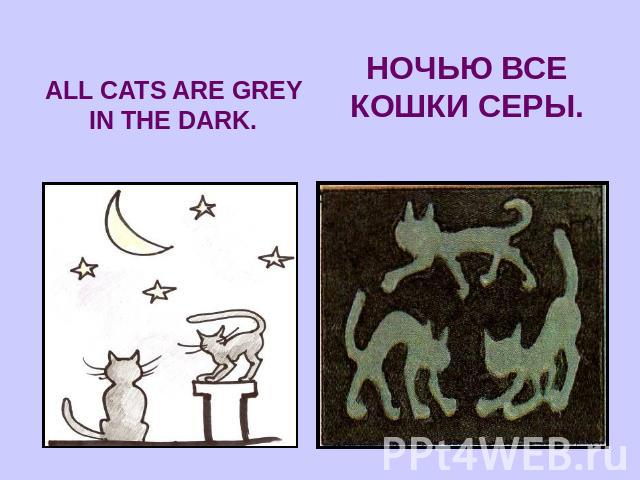 ALL CATS ARE GREY IN THE DARK.