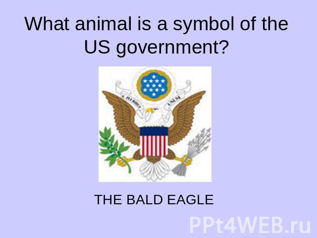 What animal is a symbol of the US government?