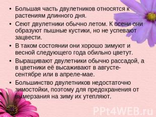 Большая часть двулетников относятся к растениям длинного дня.Большая часть двуле