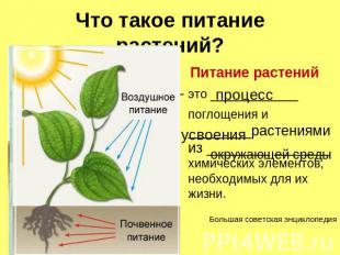 Что такое питание растений?Питание растений – это ___________ поглощения и _____