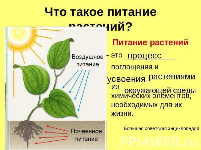 Что такое питание растений?Питание растений – это ___________ поглощения и ________растениями из ________ _______ химических элементов, необходимых для их жизни. Большая советская энциклопедия