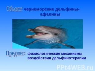 черноморские дельфины- афалиныфизиологические механизмы воздействия дельфинотера