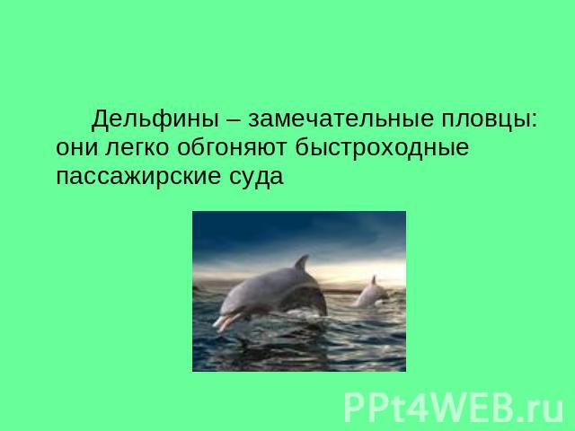 Дельфины – замечательные пловцы: они легко обгоняют быстроходные пассажирские судаДельфины – замечательные пловцы: они легко обгоняют быстроходные пассажирские суда