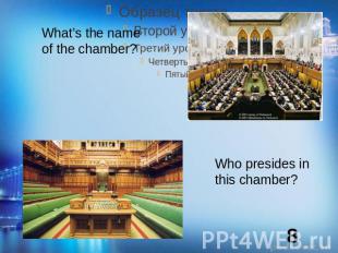 What’s the name of the chamber?Who presides in this chamber?