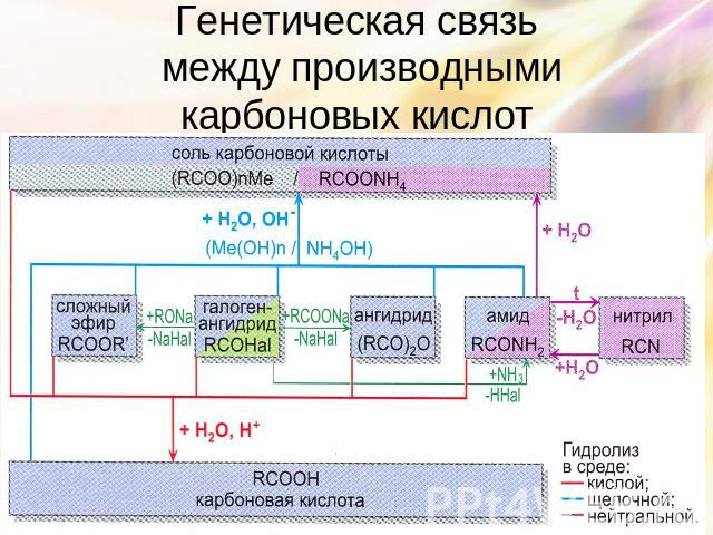 Генетическая связь между производными карбоновых кислот