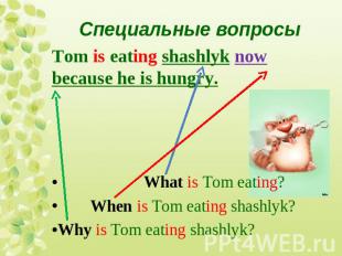 Специальные вопросыTom is eating shashlyk now because he is hungry. What is Tom