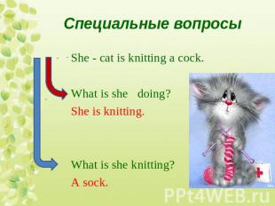 Специальные вопросыShe - cat is knitting a cock.What is she doing?She is knittin