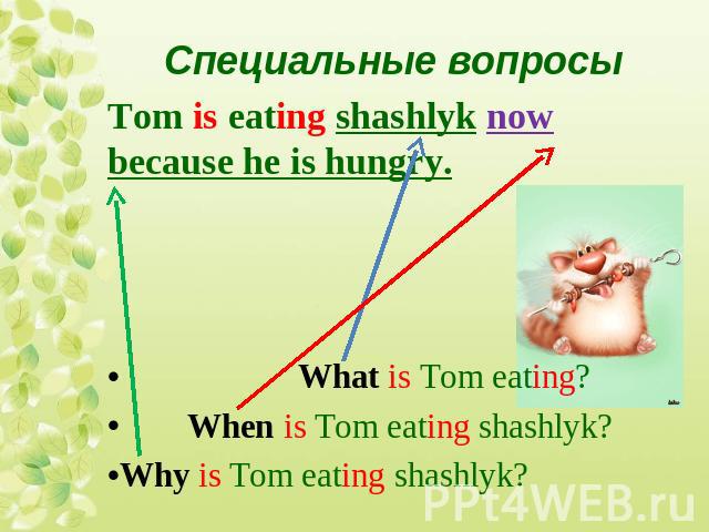 Специальные вопросыTom is eating shashlyk now because he is hungry. What is Tom eating? When is Tom eating shashlyk?Why is Tom eating shashlyk?