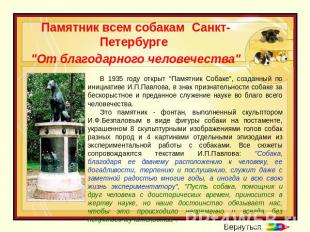 Памятник всем собакам Санкт-Петербурге "От благодарного человечества" В 1935 год