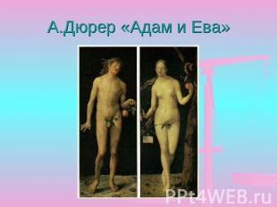 А.Дюрер «Адам и Ева»