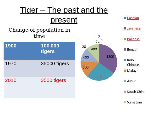 Tiger – The past and the present Change of population in time