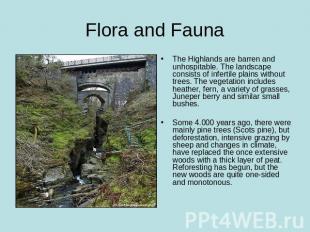Flora and Fauna The Highlands are barren and unhospitable. The landscape consist