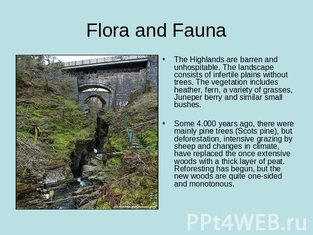 Flora and Fauna The Highlands are barren and unhospitable. The landscape consists of infertile plains without trees. The vegetation includes heather, fern, a variety of grasses, Juneper berry and similar small bushes. Some 4.000 years ago, there wer…