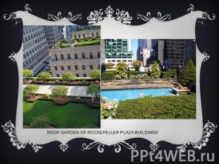 Roof garden of Rockefeller Plaza buildings