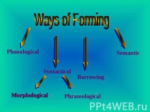 Ways of Forming Phonological Morphological Syntactical Phraseological Borrowing