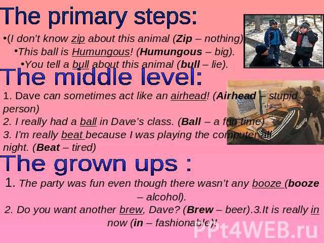 The primary steps: (I don’t know zip about this animal (Zip – nothing).This ball is Humungous! (Humungous – big).You tell a bull about this animal (bull – lie). The middle level: 1. Dave can sometimes act like an airhead! (Airhead – stupid person)2.…