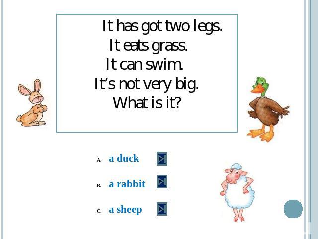 It has got two legs. It eats grass.It can swim. It’s not very big.What is it? a ducka rabbita sheep