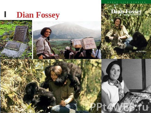 Dian Fossey