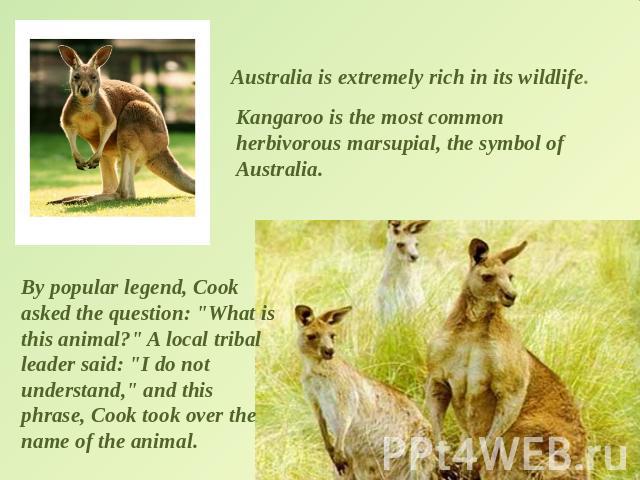 Australia is extremely rich in its wildlife. Kangaroo is the most common herbivorous marsupial, the symbol of Australia. By popular legend, Cook asked the question: 