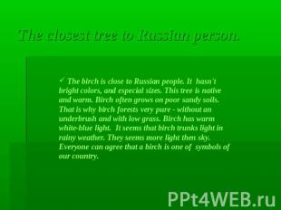 The closest tree to Russian person. The birch is close to Russian people. It has