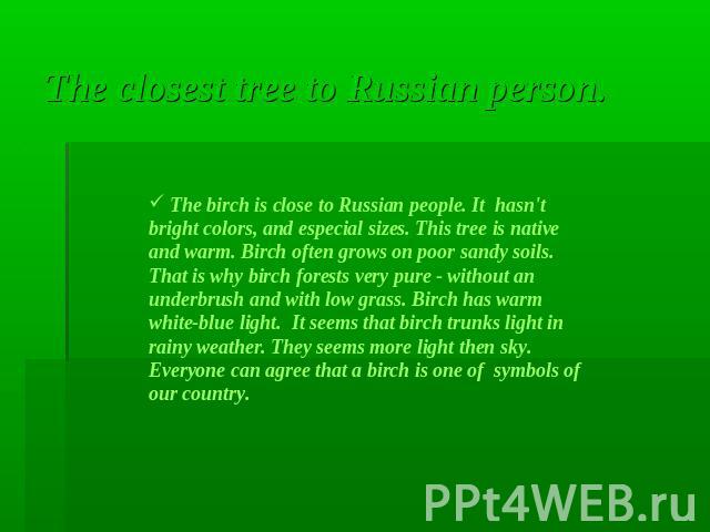 The closest tree to Russian person. The birch is close to Russian people. It hasn't bright colors, and especial sizes. This tree is native and warm. Birch often grows on poor sandy soils. That is why birch forests very pure - without an underbrush a…