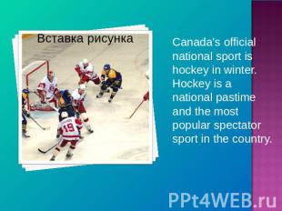 Canada's official national sport is hockey in winter. Hockey is a national pasti