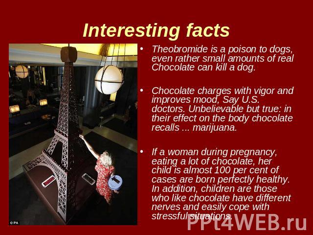 Interesting facts Theobromide is a poison to dogs, even rather small amounts of real Chocolate can kill a dog. Chocolate charges with vigor and improves mood, Say U.S. doctors. Unbelievable but true: in their effect on the body chocolate recalls ...…