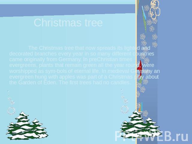 Christmas tree The Christmas tree that now spreads its lighted and decorated branches every year in so many different countries came originally from Germany. In preChristian times evergreens, plants that remain green all the year round, were worship…