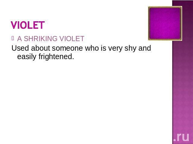 A SHRIKING VIOLETUsed about someone who is very shy and easily frightened.