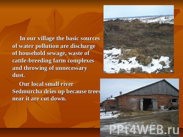 In our village the basic sources of water pollution are discharge of household sewage, waste of cattle-breeding farm complexes and throwing of unnecessary dust. Our local small river Sedmurcha dries up because trees near it are cut down.