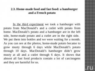 2.3. Home-made food and fast food: a hamburger and a French potatoIn the third e
